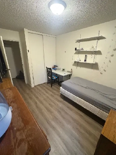 private room for rent in west Edmonton Image# 1