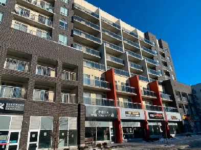 Apartment For Rent In Waterloo Image# 7