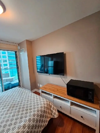 ROOM FOR RENT IN DOWNTOWN TORONTO Image# 6