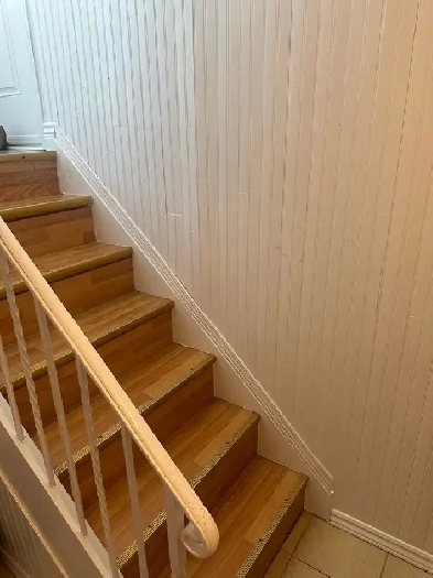 basement apartment for rent Image# 5