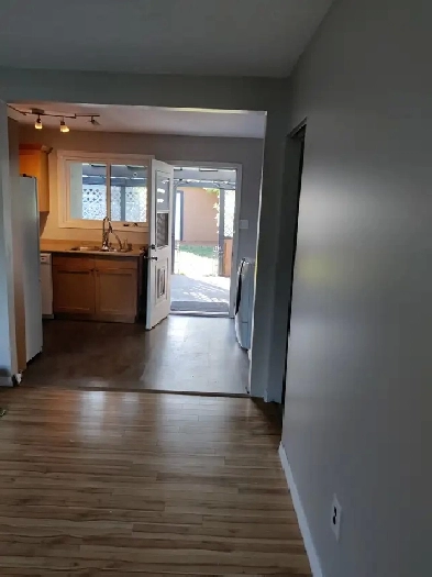 In Merritt 3 Bed 1 Bath Duplex for $2100   Util Image# 8