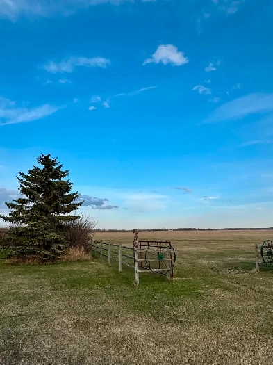 160 Acre Farm Near Stettler Image# 3