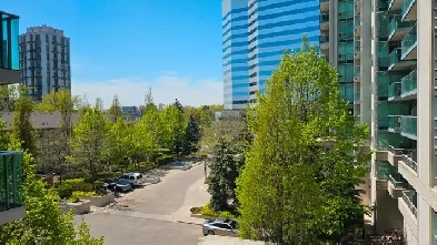1 bedroom apartment in Yonge&Sheppard area Image# 2