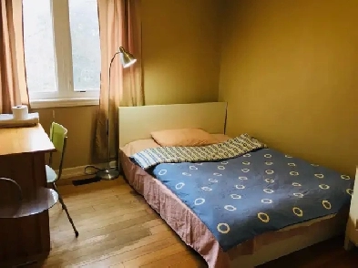 UTSC/CENTENNIAL ROOM FOR RENT Image# 4