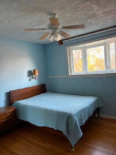 Room close to Algonquin College Image# 1