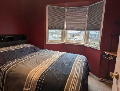 Room for rent Orleans Image# 2