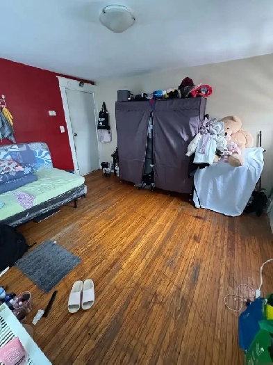 Room For International GIRL Students Niagara College/University Image# 2