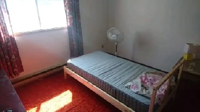 Private room for rent Image# 4