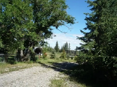Rare 5 Acre Ridge View Lot Bordering City of Calgary Image# 5