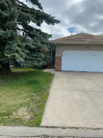 5 Bedroom House for Rent.  August 1.  Long term Rental Image# 10
