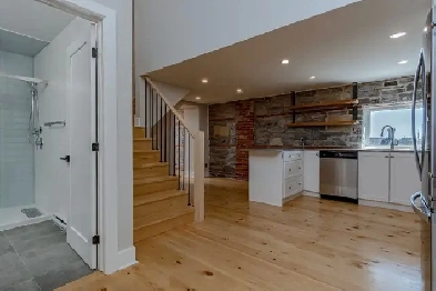 Beautiful 2 Bedroom Downtown Apartment For Rent Image# 12