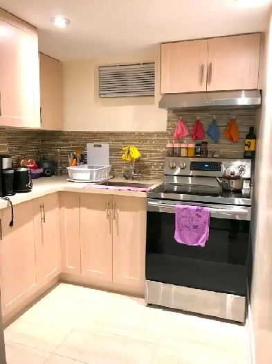 1 Bedroom Studio Basement Apt for Rent - Furnished Image# 6