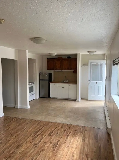 1 Bedroom Apartment (ground floor) - Greenwood, BC Image# 9