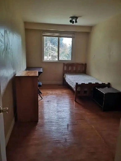 Room for rent, Parking , Finch /Victoria P, Seneca College,(male Image# 1
