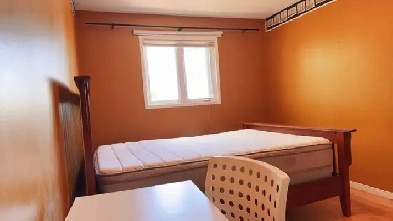 1 furnished room Immediately available in Square one Image# 3