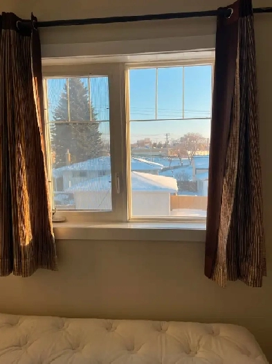 Room Available Near Pembina Hwy Image# 1