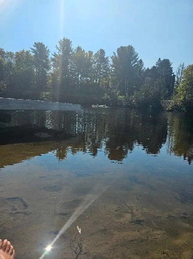 Wellness by the water for Seniors. Image# 6