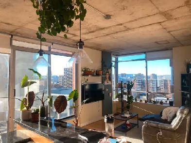 Looking for roomie to share beautiful 2 bedroom condo in Byward Image# 5