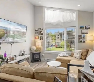 Modern Above Ground Suite for Rent Image# 1