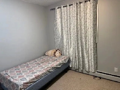 sharing apartment Image# 3