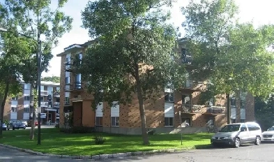 Ste-Foy, à louer 1er juin, 1½ à 900$ Image# 2