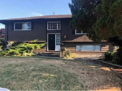 Roommate wanted! Image# 1