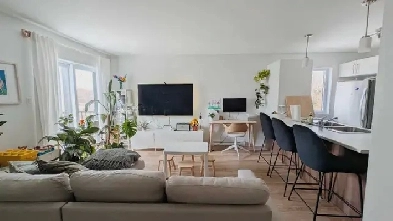 Appartment 3 chambres à louer Image# 5