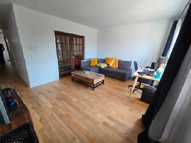Logement 3 1/2 à LaSalle Image# 6