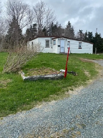 3bedroom bungalow on a large lot , no basement Image# 7