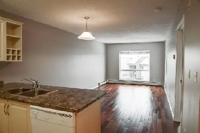 $1300 bedroom 1 bath plus DEN condominium - rent / lease June 1 Image# 4