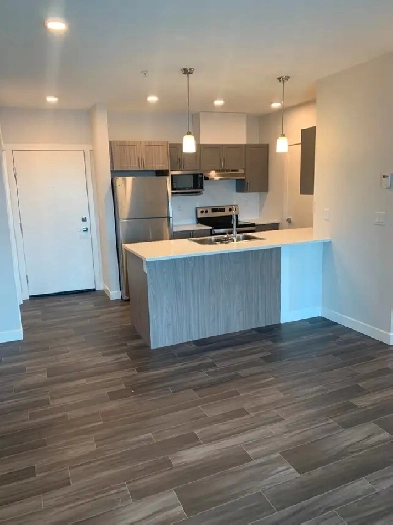 one bedroom one bath hampton circle Image# 4