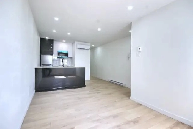 RENOVATED 1 Bed 1 Bath appartment on des Carrières Image# 9