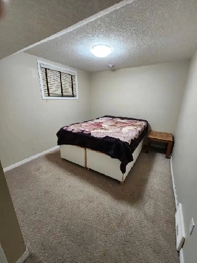 one bedroom basment for rent Image# 4