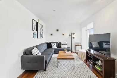 À louer condo 3 1/2, Métro Montmorency, Vue Panoramique Image# 5
