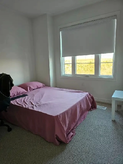 Room to rent in quite and vibrant house Image# 1