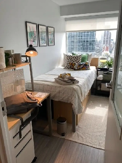 Downtown Montreal apartment for the summer Image# 5