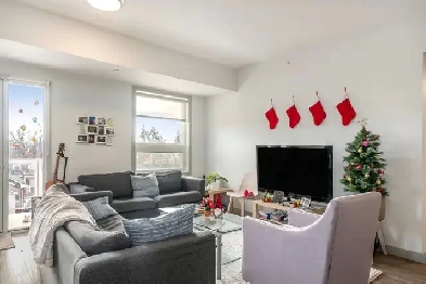 1 Bed 1 Bath Apartment Available for Summer - Downtown Kingston Image# 3