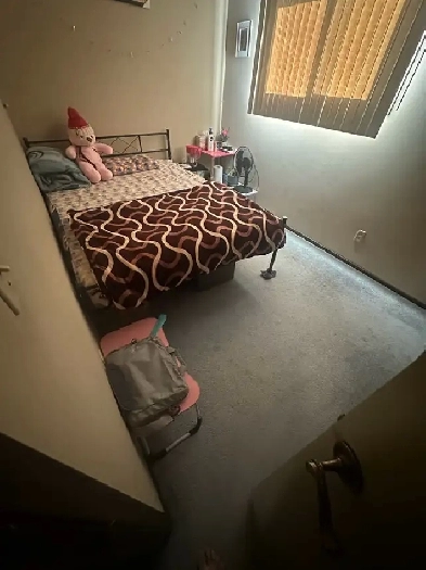 PRIVATE room rent for girl . north side Tyndall Park Image# 2