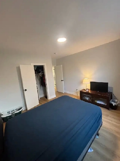 Bedroom in renovated 3 bed house Image# 1