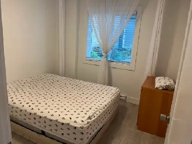 furnished room available in a basement in sharing Image# 3