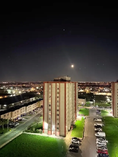 Looking for 2BR or 3BR Home/Apartment – Caledonia Rd or Yorkdale Image# 1