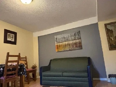 1 bed 1 bath basement for rent Image# 1