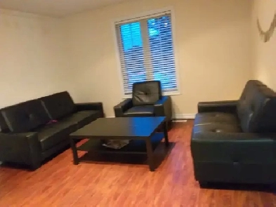 Rooms For Rent Near Georgian College Image# 1