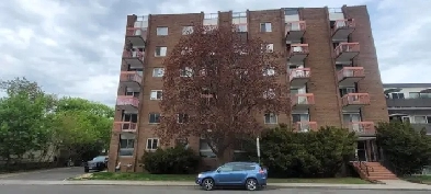 GLEBE ANNEX NEAR CARLETON U, BALCONY, HEAT/HYDRO/WATER INCL. Image# 4