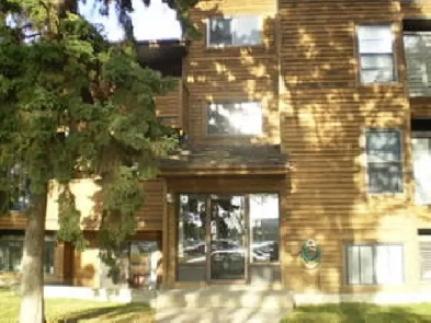 GREAT LOCATION - Clean & Well Maintained 1 Bed Avail June 1st/25 Image# 1