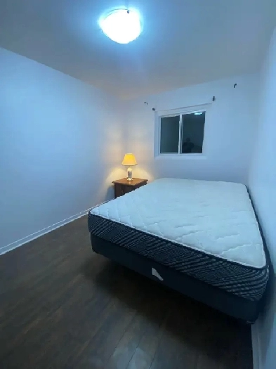 Room for rent in Brampton, ON near bramalea mall Image# 1