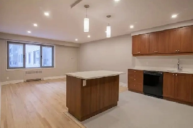 Downtown 4 1/2, McGill University, Peel metro - ID 3760 Image# 1