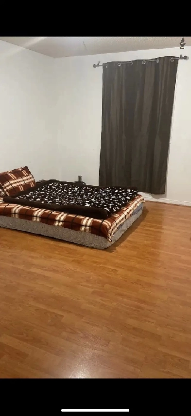 Room and basement for rent Munde Brampton Image# 1