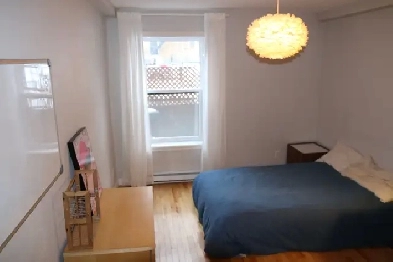 Superbe condo rénové semi-meublé (2 chbres), libre 1er juillet Image# 10