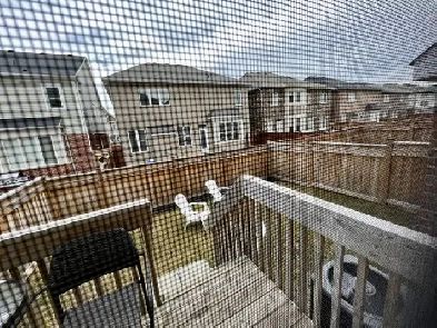 Single Room for Rent in Milton Image# 6